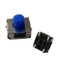 Slide Switch for Home Appliance (250)